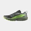 Picture of SALOMON - SENSE RIDE 5